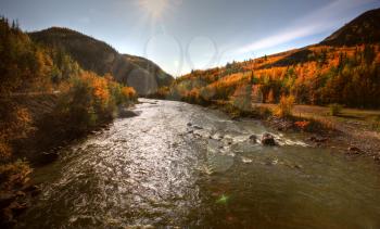 Autumn colors along Tuya River in Northern British Columbia