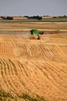 Farmer combining his crop in scenic Saskatchewan