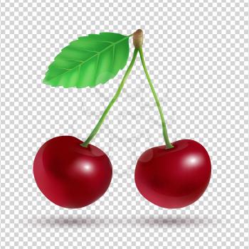 Cherry. Vector illustration. Isolated.
