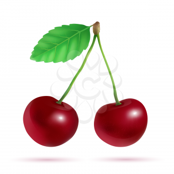 Two cherries with the leaf. Isolated. EPS 10.