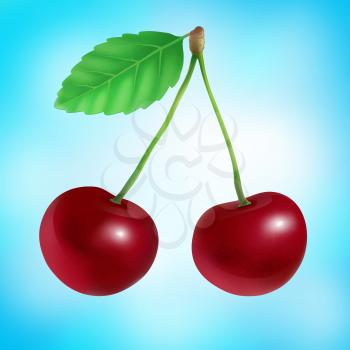 Two vector cherries with the leaf.