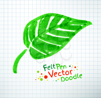 Vector illustration of leaf. Felt pen child drawing on notebook checkered paper.