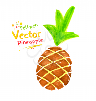Vector felt pen child drawing of pineapple.