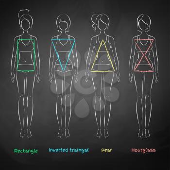 Chalked vector illustration of female body types on black chalkboard background.
