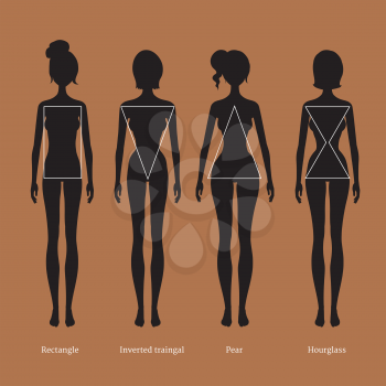 Vector illustration of female body types silhouettes.