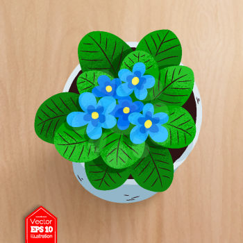 Top view vector illustration of flower in pot with realistic shadow on wooden desk background.