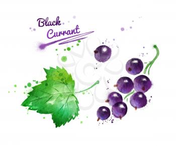 Watercolor illustration of black currant and leaf with paint smudges and splashes.