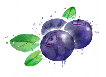 Watercolor isolated vector illustration of bilberry with leaves and paint smudges and splashes.