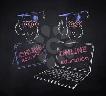 Owl in mortarboard sitting on digital tablet and laptop. Vector color chalk drawn illustration of online education concept on black chalkboard background.