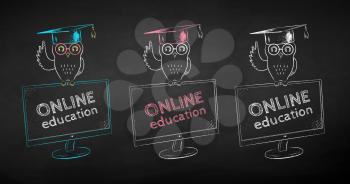 Owl in mortarboard sitting on desktop monitor. Vector chalk drawn illustration set of online education concept on black chalkboard background.