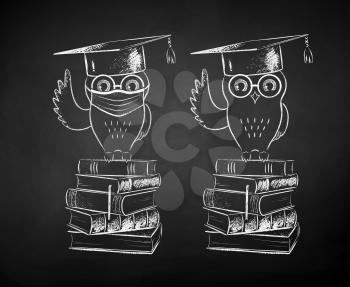 Vector chalk drawn black and white illustrations of student owl sitting on books with and without face mask on chalkboard background.