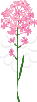 Sprig Clipart