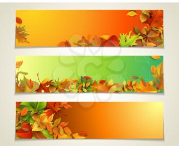 Three design templates. Autumn maple, oak, birch, elm, rowan, chestnut, aspen leaves and acorns on bright background. There are places for your text.
