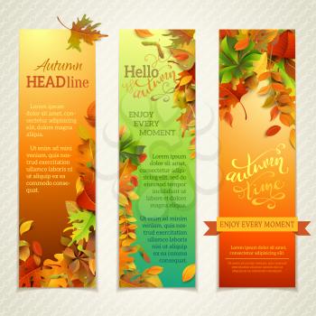 Three design templates. Fall maple, oak, birch, elm, rowan, chestnut, aspen leaves and acorns on bright background.  Hand-written lettering elements. There are places for your text.