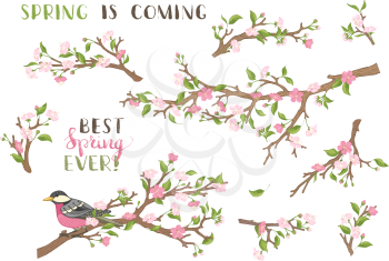 Blossoms, leaves and bird on tree branches. Hand-written brush lettering. Best spring ever! Spring is coming. 