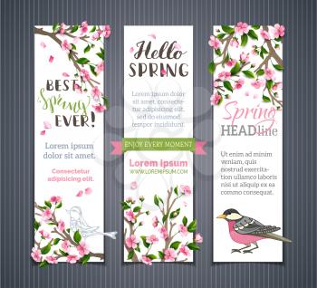 Pink cherry blossoms, leaves and birds on tree branches. Hello spring! It's spring time. There is place for your text on white background.