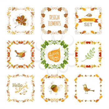 Frames, corners, page decorations and dividers, swirls and flourishes isolated on white background. Oak, rowan, maple, chestnut, elm leaves and acorn.