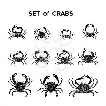 Various hand-drawn crabs isolated on white background.
