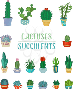 Various cacti in flowerpots and cups. Cartoon icons isolated on white background. 