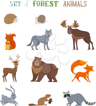 Hedgehog, snail, wolf, beaver, deer, fox, hare, squirrel, moose, bear and raccoon. Zoo cartoon collection isolated on white background.