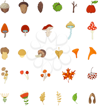 Mushrooms, acorns, fly agaric, chestnut, chanterelles, apple, rowan berries, flowers, autumn leaves and maple seeds isolated on white.