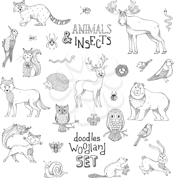 Cute outlined mammals and birds. Moose, bear, fox, wolf, deer, owl, hare, squirrel, raccoon, nest, ladybug, hedgehog. Can be used for colouring books.