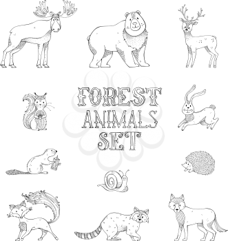 Hand-drawn hedgehog, deer, fox, hare, squirrel, moose, snail, wolf, beaver, bear and raccoon. Can be used in colouring book for children.