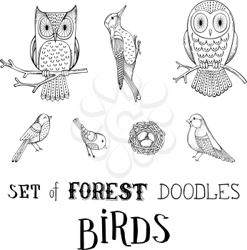 Cute owls on branches, nest with eggs, bullfinch, woodpecker and other birds isolated on white background. Can be used in colouring book for children.