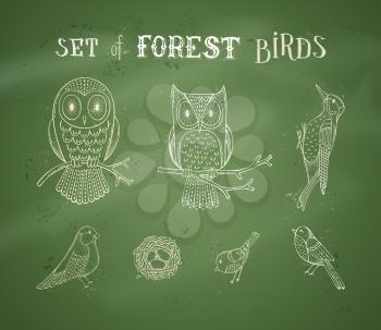 Cute owls on branches, nest with eggs, woodpecker, bullfinch and other birds. Hand-drawn woodland collection.
