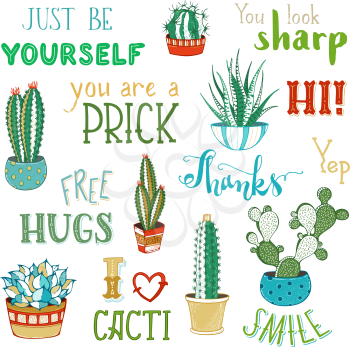 Cactus and succulent plants in flower pots. With spines or flowers and without. Just be yourself. You look sharp. Free hugs. Thanks. You are a prick. Smile.