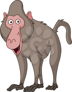 Smiling baboon