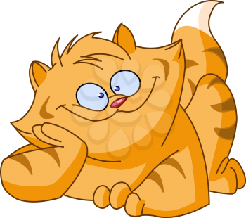 Fat ginger cat
