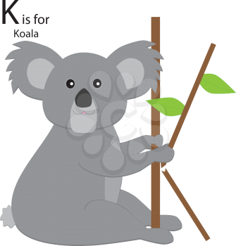 Royalty Free Clipart Image of a Koala bear using sticks to form the letter 'K'