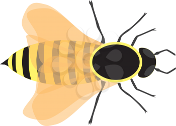 Royalty Free Clipart Image of a bee