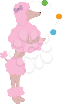 Royalty Free Clipart Image of a Poodle juggling to form the letter 'P'