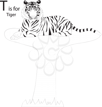 Royalty Free Clipart Image of a Tiger making the letter 'T'