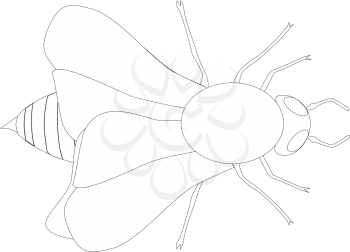 Royalty Free Clipart Image of a bee