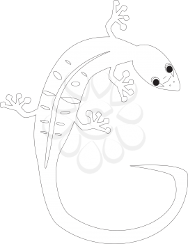 Royalty Free Clipart Image of a gecko making the letter 'G'