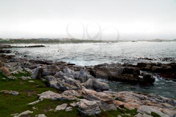 blur in south africa   betty's bay wildlife  nature  reserve birds  penguin and rocks