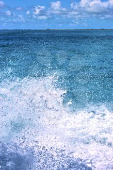 ground in mexico froath and blue  foam  the sea drop sunny day  wave
