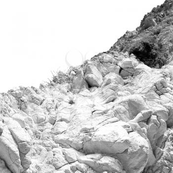 santorini    europe greece and dry bush rock alone in the sky 