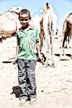 ETHIOPIA,BABILE-CIRCA  JANUARY 2018--unidentified   worker young boy in the camels market 
