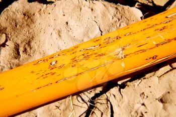 cracked sand in morocco africa desert abstract macro bark