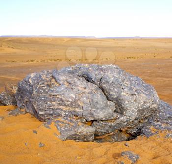  old fossil in  the desert of morocco sahara and rock  stone sky