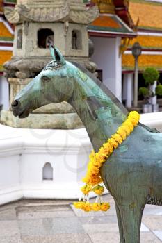 horse  in the temple bangkok asia   thailand abstract cross      colors step   wat  palaces   