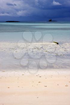 wood beach sky sand isle and rock in indian ocean madagascar