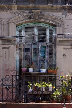 old   little terrace  blue green venetian blind and flower  in the centre of buenos aires la boca argentina