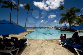 republica dominicana pool tree palm  peace marble and relax near the caribbean beach 