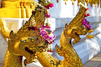     in the temple bangkok asia   thailand abstract cross        step     wat  palaces   
