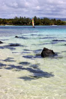 boat foam footstep indian ocean some stone in the island of deus cocos in mauritius blue bay
